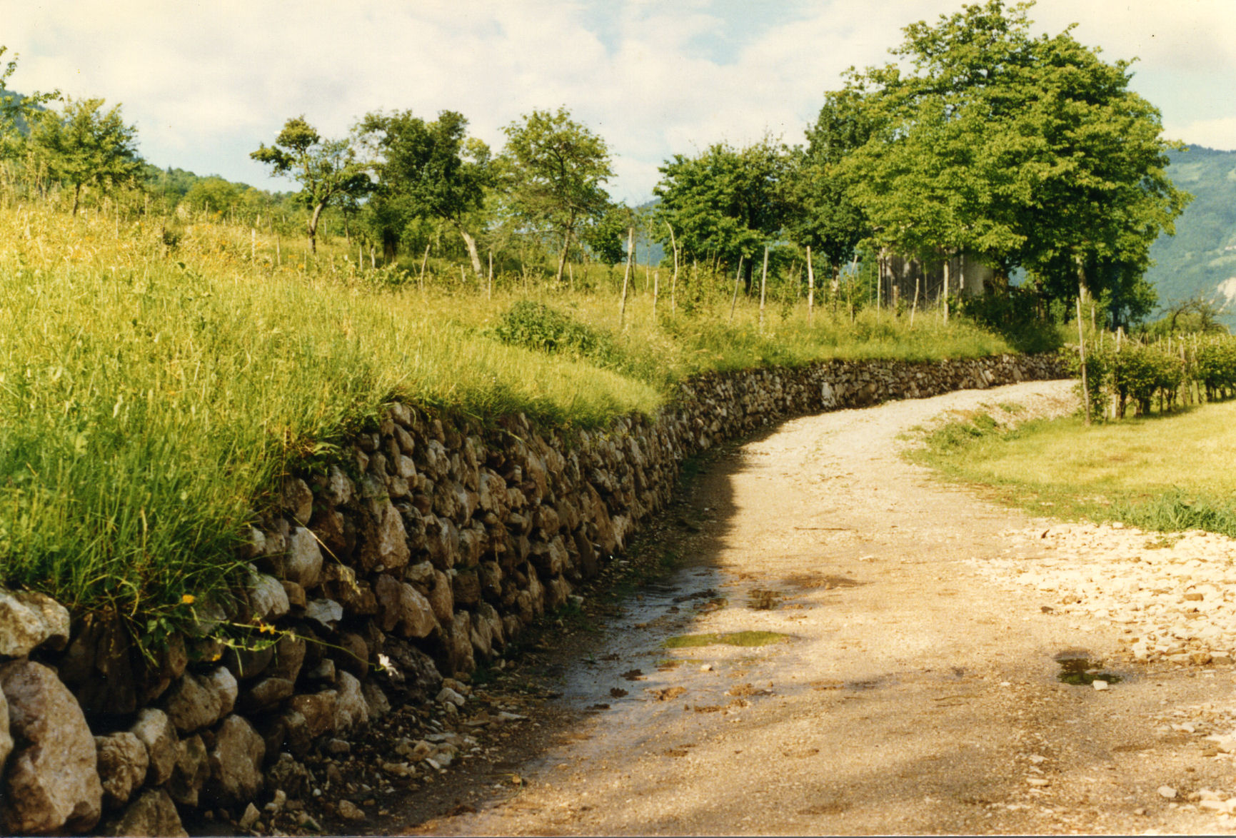 Strada con muro a secco che contiene il terreno a monte