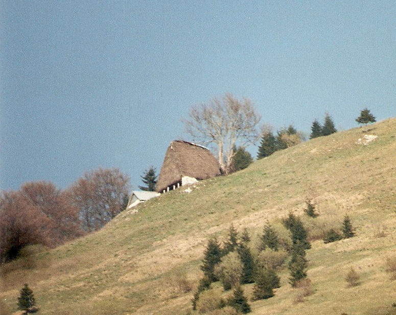 Stabìr 1994. Malga Costesèle Stabìr 1994. Malga Costesèle
